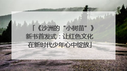 《沙洲的“小树苗”》新书首发式：让红色文化在新时代少年心中绽放