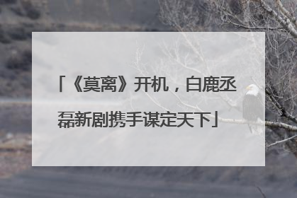 《莫离》开机，白鹿丞磊新剧携手谋定天下