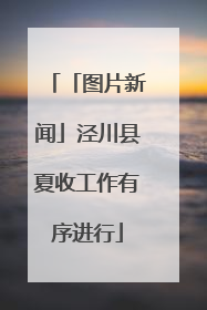「图片新闻」泾川县夏收工作有序进行