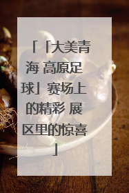 「大美青海 高原足球」赛场上的精彩 展区里的惊喜