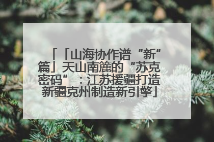 「山海协作谱“新”篇」天山南簏的“苏克密码”：江苏援疆打造新疆克州制造新引擎
