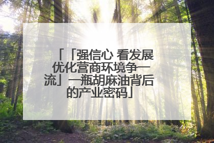 「强信心 看发展 优化营商环境争一流」一瓶胡麻油背后的产业密码