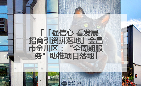 「强信心 看发展·招商引资拼落地」金昌市金川区：“全周期服务”助推项目落地