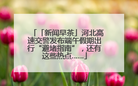 「新闻早茶」河北高速交警发布端午假期出行“避堵指南”，还有这些热点……
