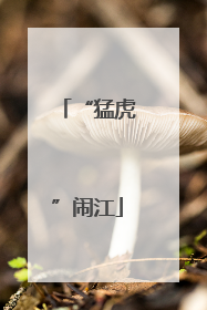 “猛虎”闹江