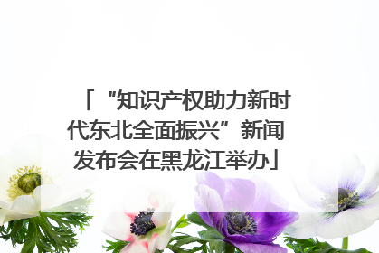 “知识产权助力新时代东北全面振兴”新闻发布会在黑龙江举办