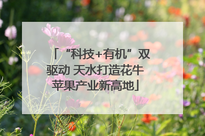 “科技+有机”双驱动 天水打造花牛苹果产业新高地