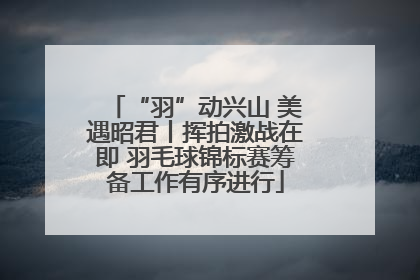 “羽”动兴山 美遇昭君丨挥拍激战在即 羽毛球锦标赛筹备工作有序进行