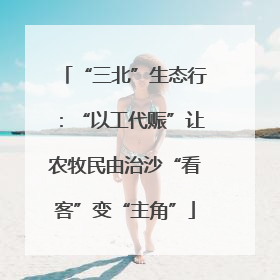 “三北”生态行：“以工代赈”让农牧民由治沙“看客”变“主角”