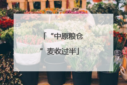 “中原粮仓”麦收过半