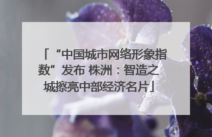 “中国城市网络形象指数”发布 株洲：智造之城擦亮中部经济名片