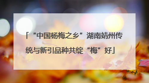 “中国杨梅之乡”湖南靖州传统与新引品种共绽“梅”好