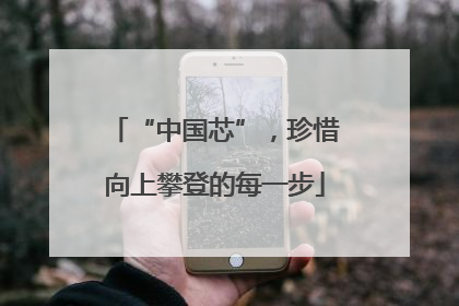 “中国芯”，珍惜向上攀登的每一步