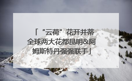 “云荷”花开并蒂 全球两大花都昆明&阿姆斯特丹强强联手