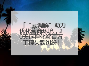“云调解”助力优化营商环境，20天远程化解百万工程欠款纠纷
