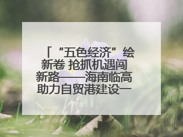 “五色经济”绘新卷 抢抓机遇闯新路——海南临高助力自贸港建设一线见闻