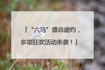 “六马”盛意邀约，多项狂欢活动来袭！