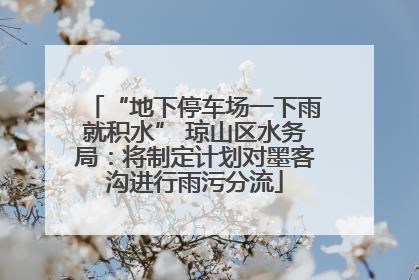 “地下停车场一下雨就积水” 琼山区水务局：将制定计划对墨客沟进行雨污分流