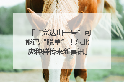 “完达山一号”可能已“脱单”！东北虎种群传来新喜讯