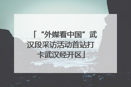 “外媒看中国”武汉段采访活动首站打卡武汉经开区