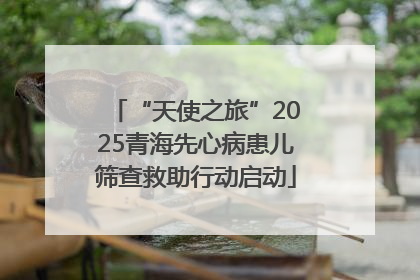 “天使之旅”2025青海先心病患儿筛查救助行动启动