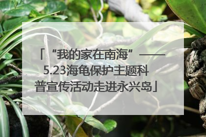 “我的家在南海”——5.23海龟保护主题科普宣传活动走进永兴岛