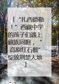 “扎西德勒！”西藏中学的孩子们遇上藏族同胞，“高原红石榴”绽放荆楚大地