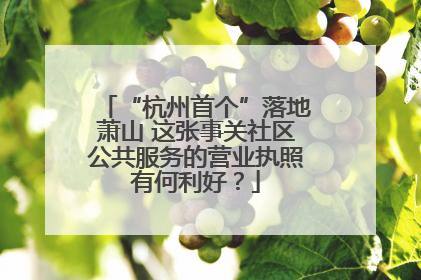 “杭州首个”落地萧山 这张事关社区公共服务的营业执照有何利好？