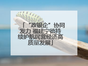 “政银企”协同发力 福建宁德持续护航民营经济高质量发展