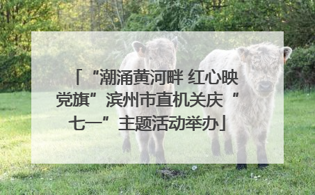 “潮涌黄河畔 红心映党旗”滨州市直机关庆“七一”主题活动举办