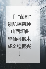 “菌雁”领航播菌种 山西垣曲望仙村椴木成金绘振兴