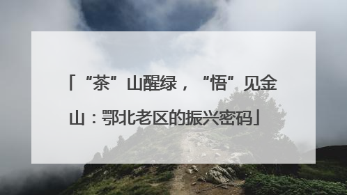 “茶”山醒绿，“悟”见金山：鄂北老区的振兴密码
