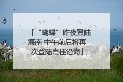 “蝴蝶”昨夜登陆海南 中午前后将再次登陆粤桂沿海