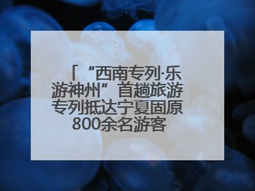 “西南专列·乐游神州”首趟旅游专列抵达宁夏固原 800余名游客开启清凉之旅