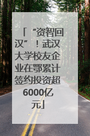 “资智回汉”！武汉大学校友企业在鄂累计签约投资超6000亿元