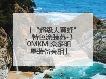 “超级大黄蜂”、特色涂装苏-30MKM 众多明星装备亮相