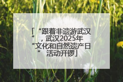 “跟着非遗游武汉”，武汉2025年“文化和自然遗产日” 活动开锣