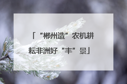 “郴州造”农机耕耘非洲好“丰”景