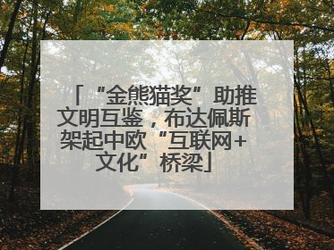“金熊猫奖”助推文明互鉴，布达佩斯架起中欧“互联网+文化”桥梁