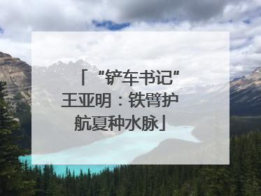“铲车书记”王亚明：铁臂护航夏种水脉