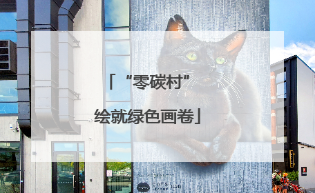 “零碳村” 绘就绿色画卷