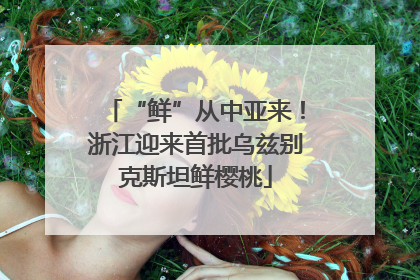 “鲜”从中亚来！浙江迎来首批乌兹别克斯坦鲜樱桃