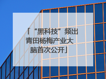 “黑科技”频出 青田杨梅产业大脑首次公开