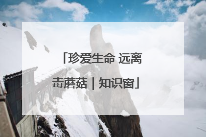 珍爱生命 远离毒蘑菇｜知识窗