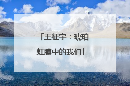 王征宇：琥珀虹膜中的我们
