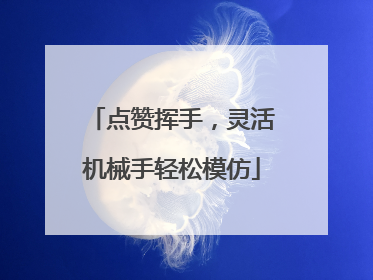 点赞挥手，灵活机械手轻松模仿