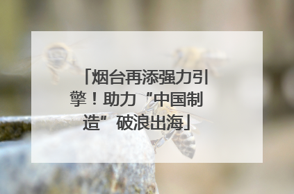 烟台再添强力引擎！助力“中国制造”破浪出海