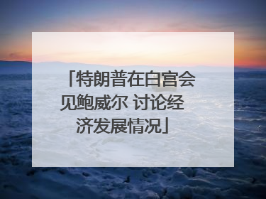 特朗普在白宫会见鲍威尔 讨论经济发展情况