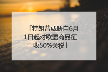 特朗普威胁自6月1日起对欧盟商品征收50%关税