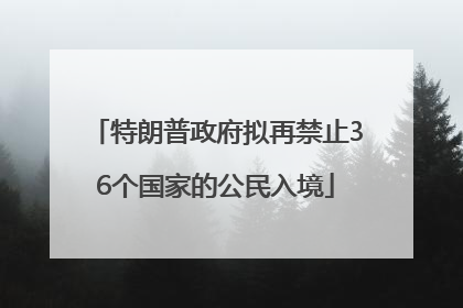 特朗普政府拟再禁止36个国家的公民入境